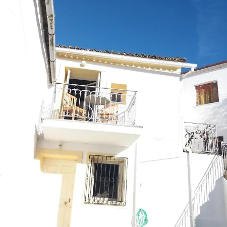 Elm Tree Dream Catcher *