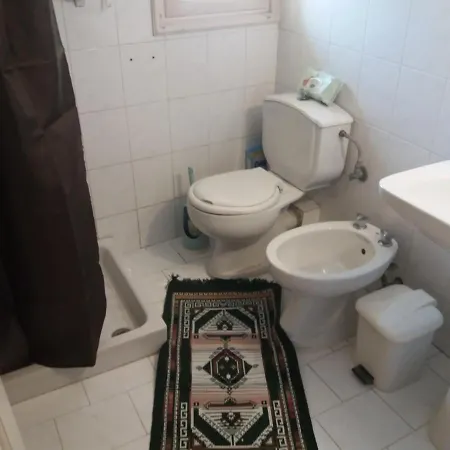 Elm Tree Dream Catcher 샬레 *