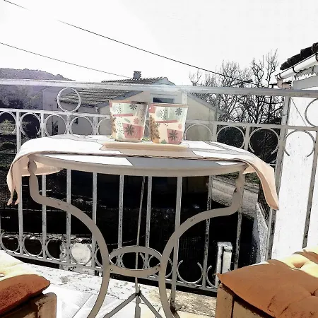 Elm Tree Dream Catcher *