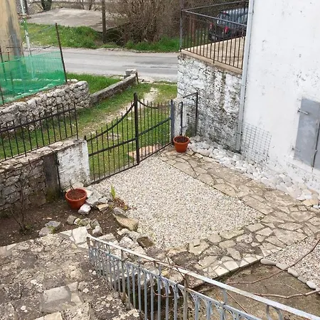 Elm Tree Dream Catcher * Strinilas