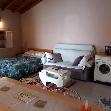 샬레 Elm Tree Dream Catcher *