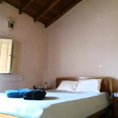 Elm Tree Dream Catcher *