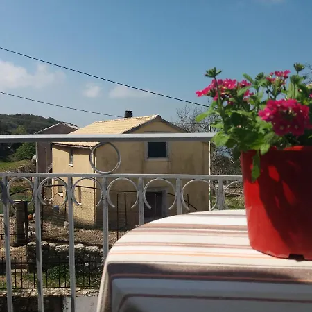 Elm Tree Dream Catcher * Strinilas