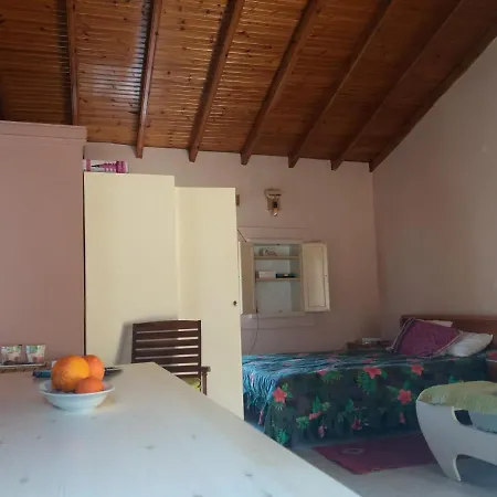 Elm Tree Dream Catcher شاليه