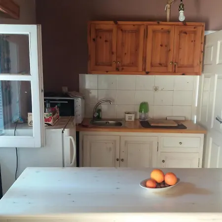 Elm Tree Dream Catcher *