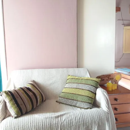 Elm Tree Dream Catcher