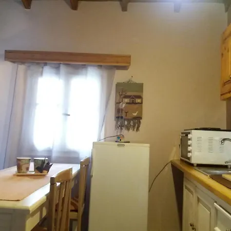 Elm Tree Dream Catcher Strinilas