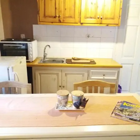 Elm Tree Dream Catcher