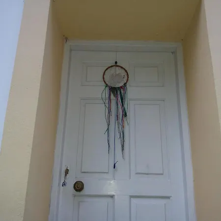 Elm Tree Dream Catcher *