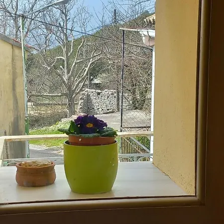 شاليه Elm Tree Dream Catcher *