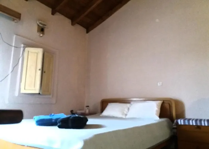 Elm Tree Dream Catcher *