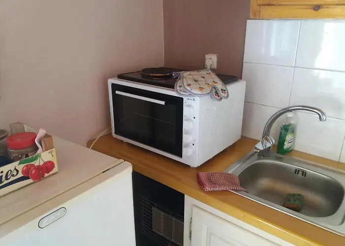 Alpehytte Elm Tree Dream Catcher Strinilas