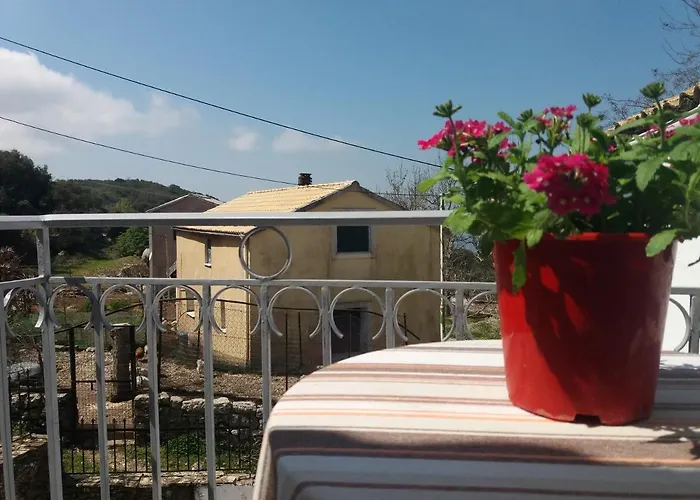 Elm Tree Dream Catcher * Strinilas