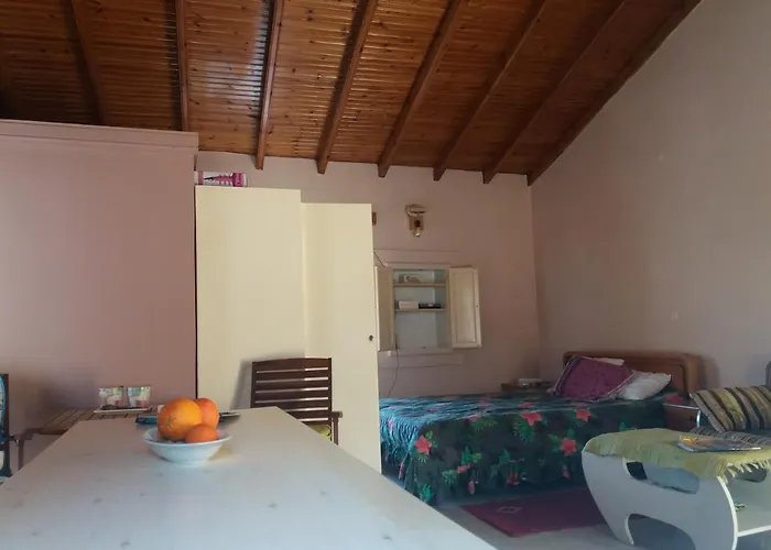 Elm Tree Dream Catcher Alpehytte