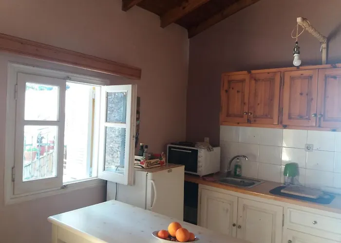 Alpehytte Elm Tree Dream Catcher Strinilas