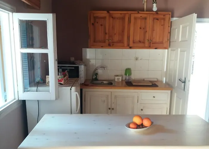 Elm Tree Dream Catcher *