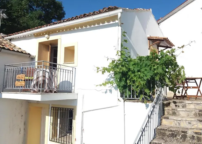 Alpehytte Elm Tree Dream Catcher *