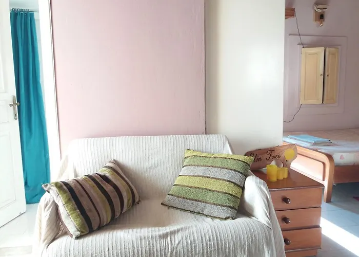 Elm Tree Dream Catcher