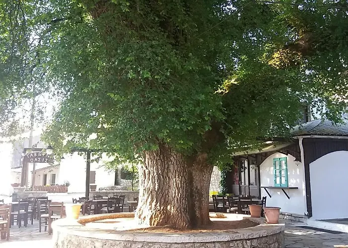 Elm Tree Dream Catcher Strinilas