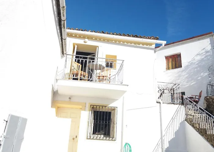 Elm Tree Dream Catcher *