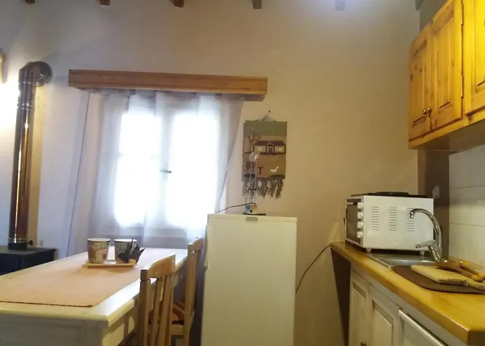 Elm Tree Dream Catcher Strinilas