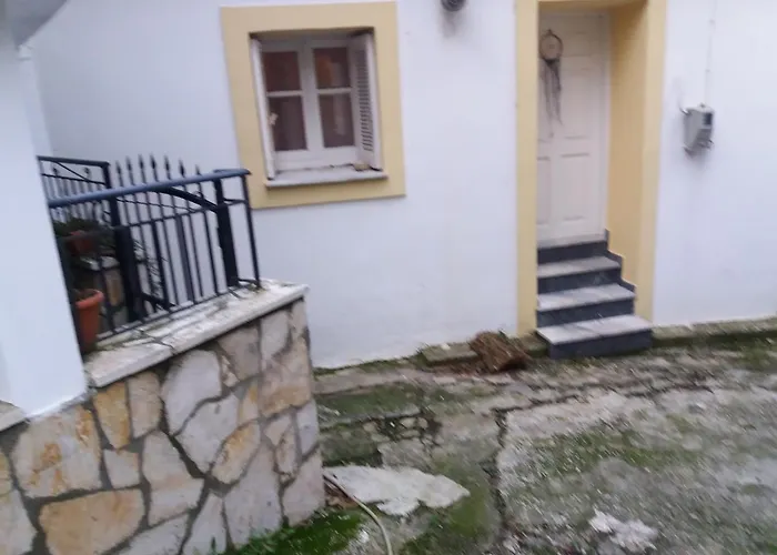 Elm Tree Dream Catcher Alpehytte Strinilas