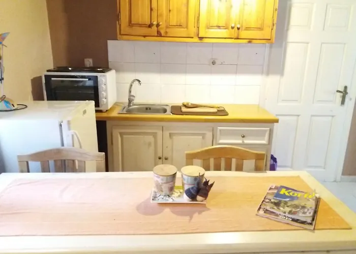 Elm Tree Dream Catcher