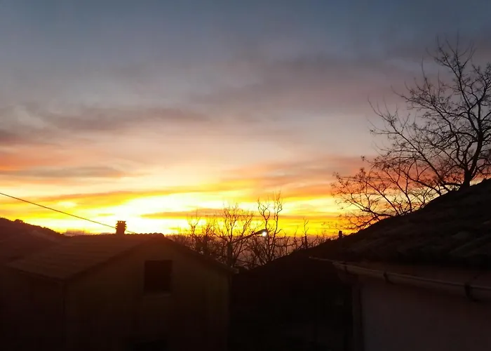 Alpehytte Elm Tree Dream Catcher