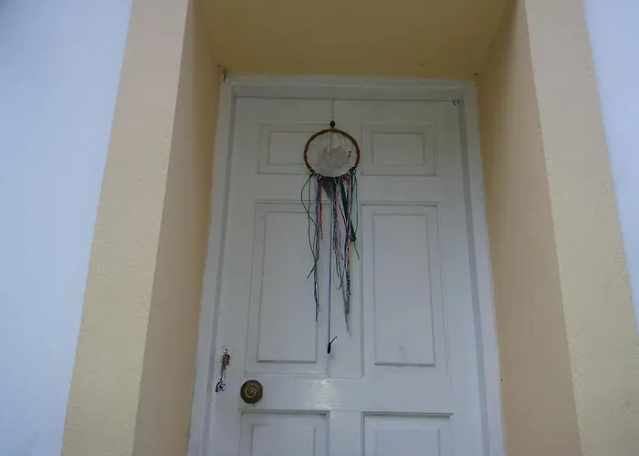 Elm Tree Dream Catcher *