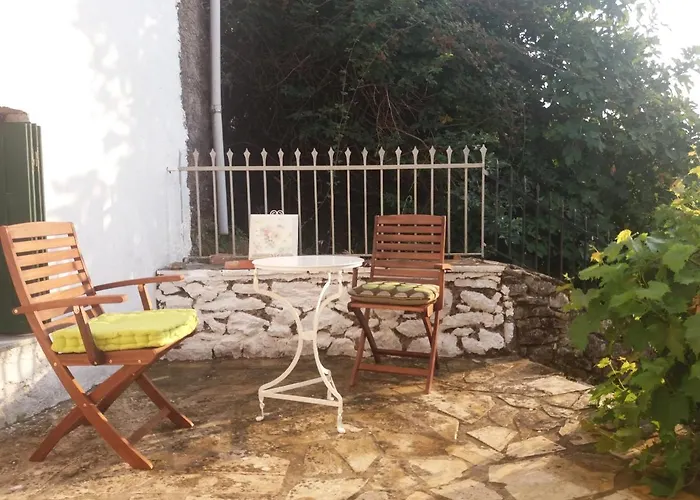 Alpehytte Elm Tree Dream Catcher Strinilas