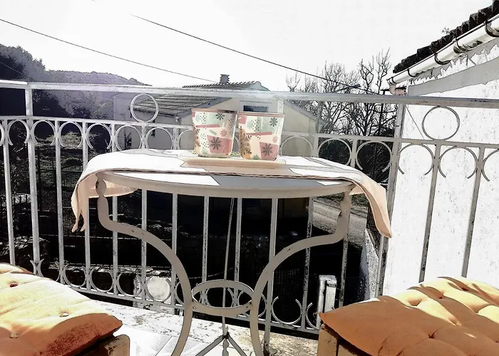 Elm Tree Dream Catcher *