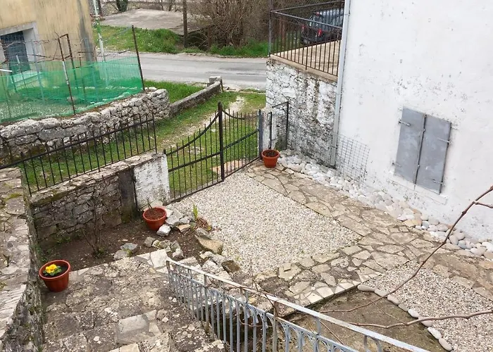 Elm Tree Dream Catcher * Strinilas