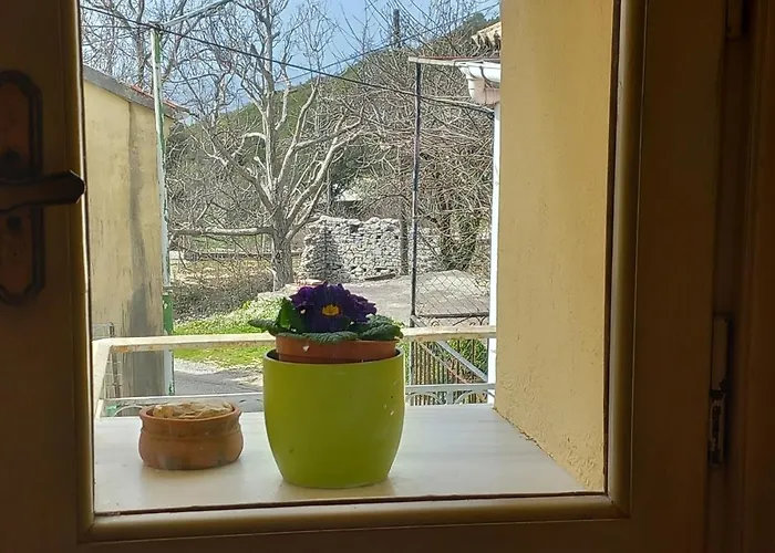 Alpehytte Elm Tree Dream Catcher *