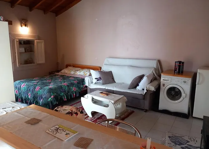 Alpehytte Elm Tree Dream Catcher *